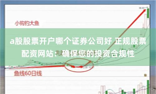 a股股票开户哪个证券公司好 正规股票配资网站：确保您的投资合规性