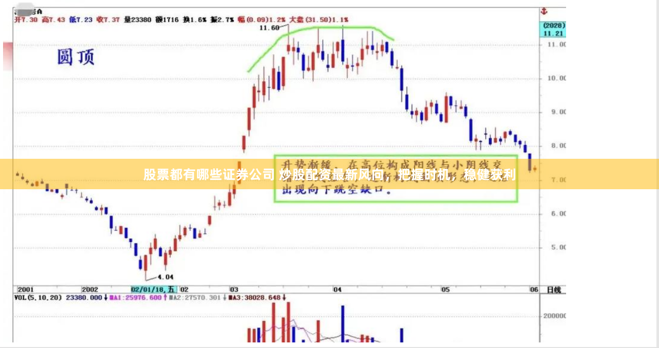 股票都有哪些证券公司 炒股配资最新风向，把握时机，稳健获利